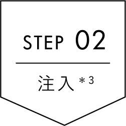 STEP02 [注入] 